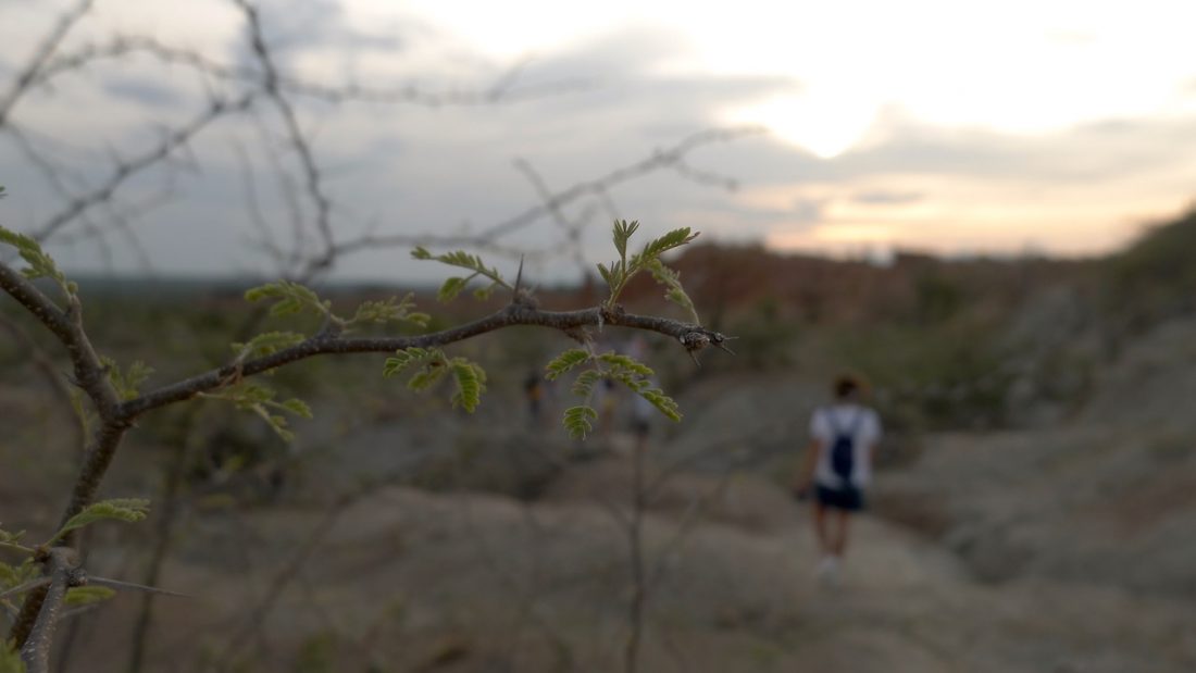 Desierto de la Tatacoa