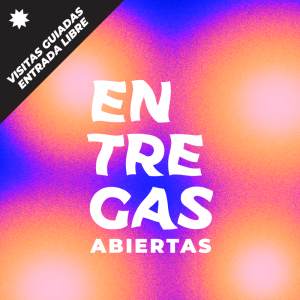 entregas-abiertas-arqdis-2024-2