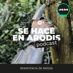 Siete Escenarios Futuros de Bogotá Ep 5