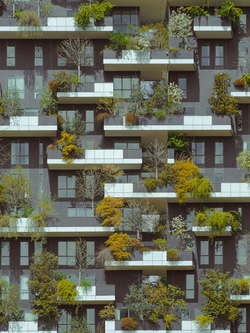 Vivienda y hábitat: Procesos, políticas y actores