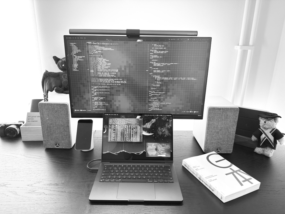 Carol Pinzon ux