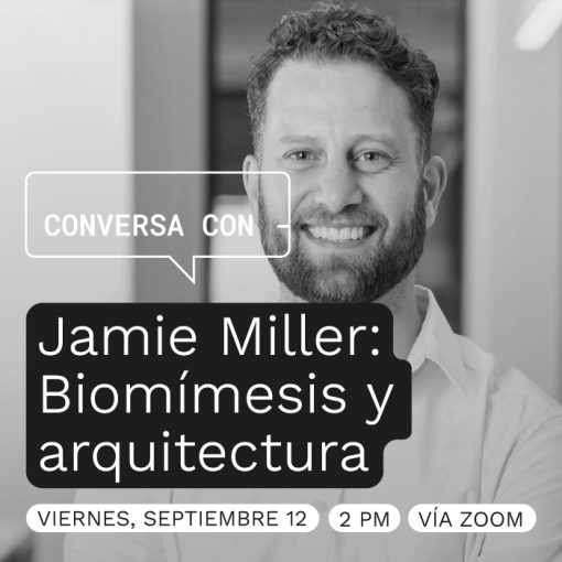 conversa-con-jamie-miller