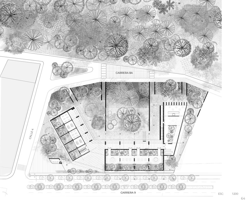 Planta 1 Hilos de Sanación y Memoria
