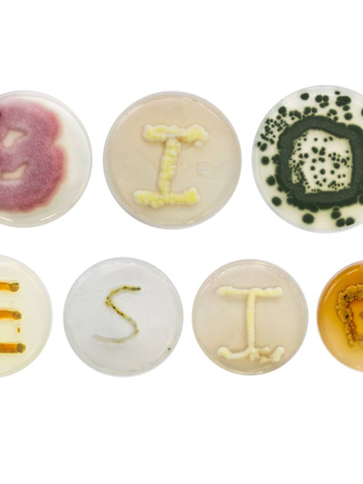 palabra biodiseño hecha con muestras de laboratorio