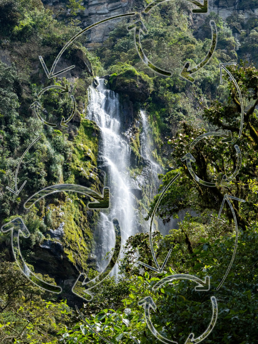 foto de la naturaleza con flechas que reflejan un diagrama de systems thinking