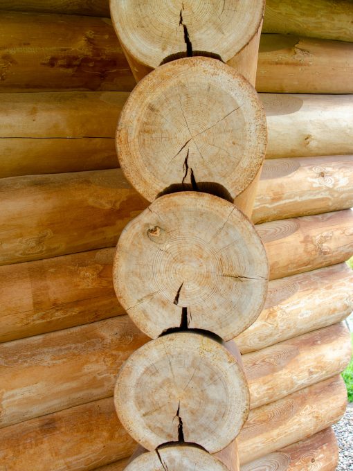 estructura-timber-sistema