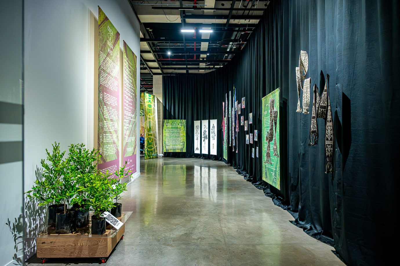 Coca i Nada Más - Exposición