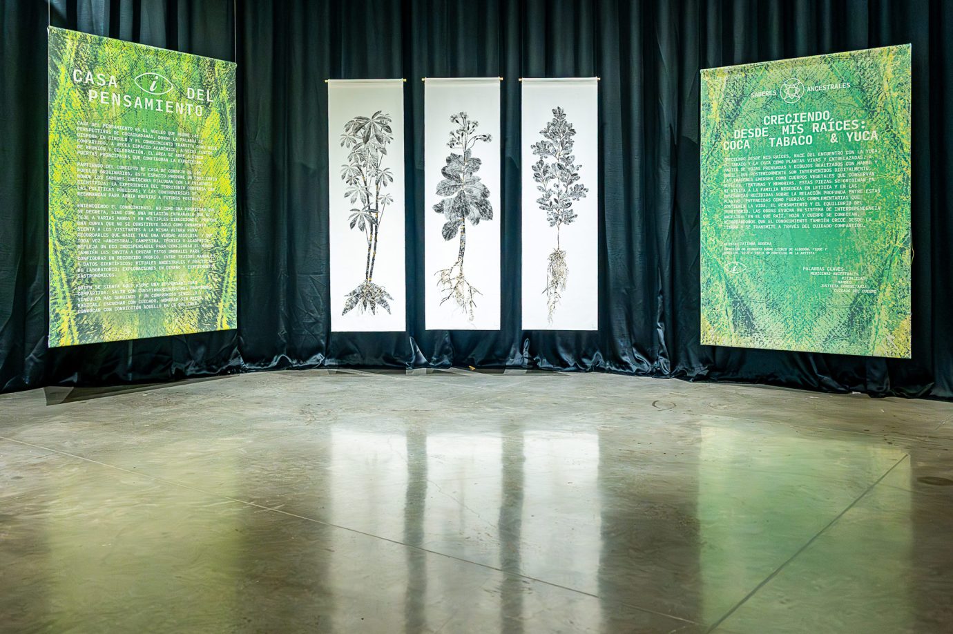 Coca i Nada Más - Exposición