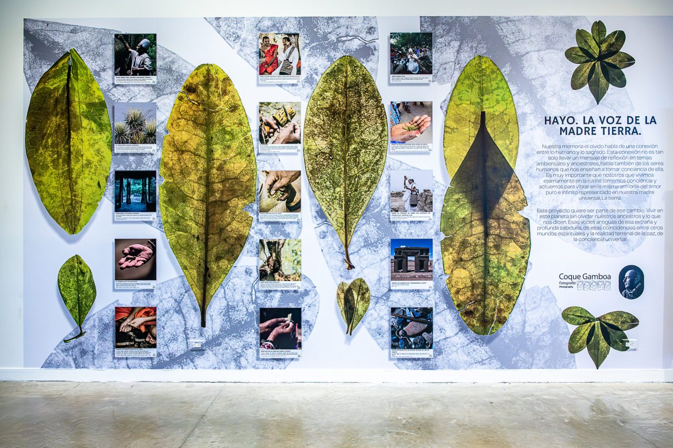 Coca i Nada Más - Exposición