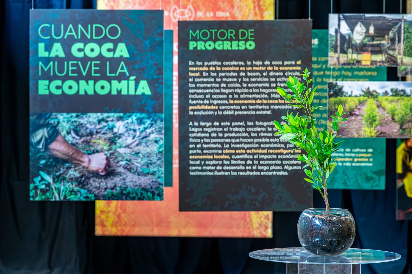 Coca i Nada Más - Exposición