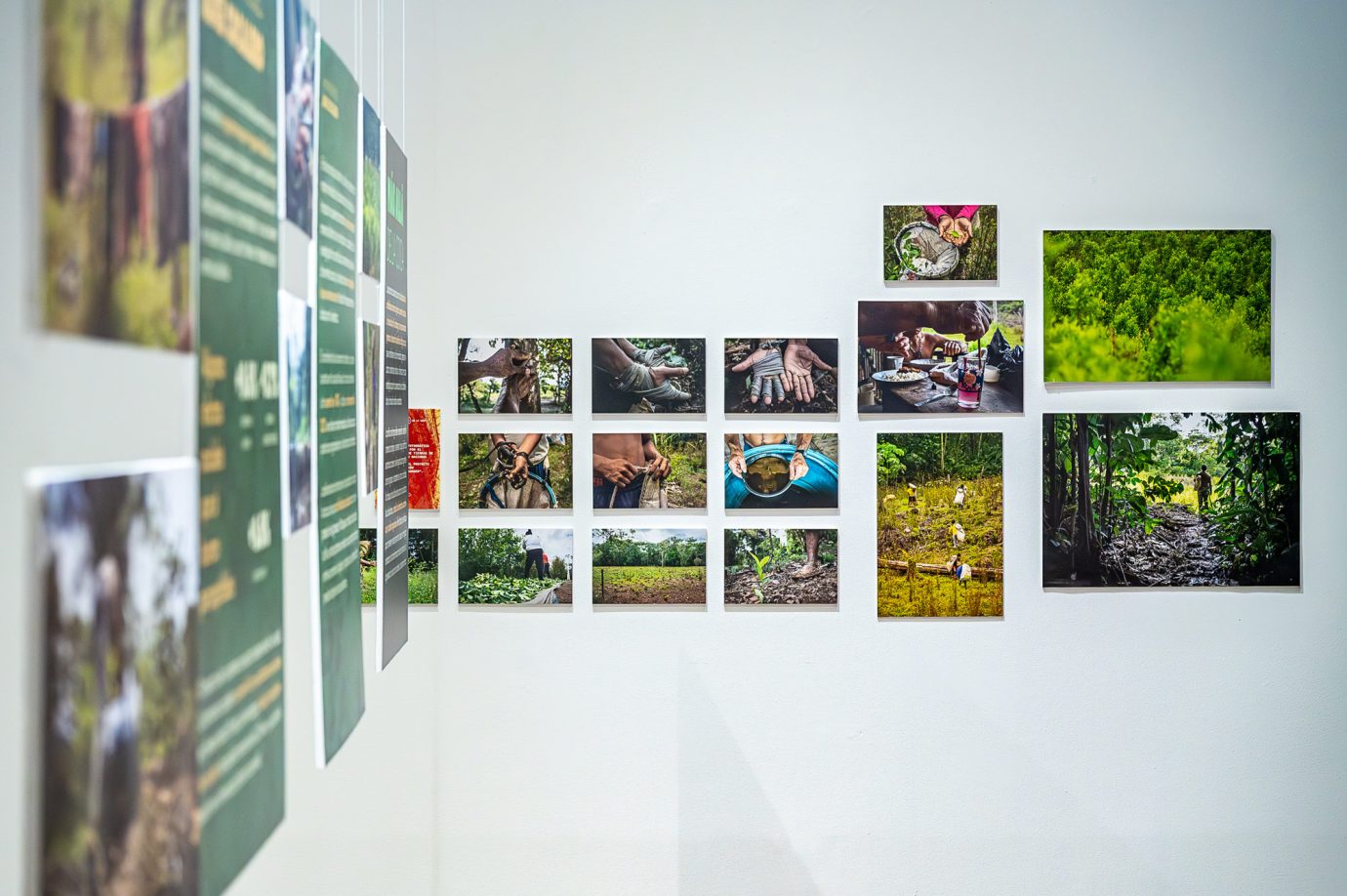 Coca i Nada Más - Exposición