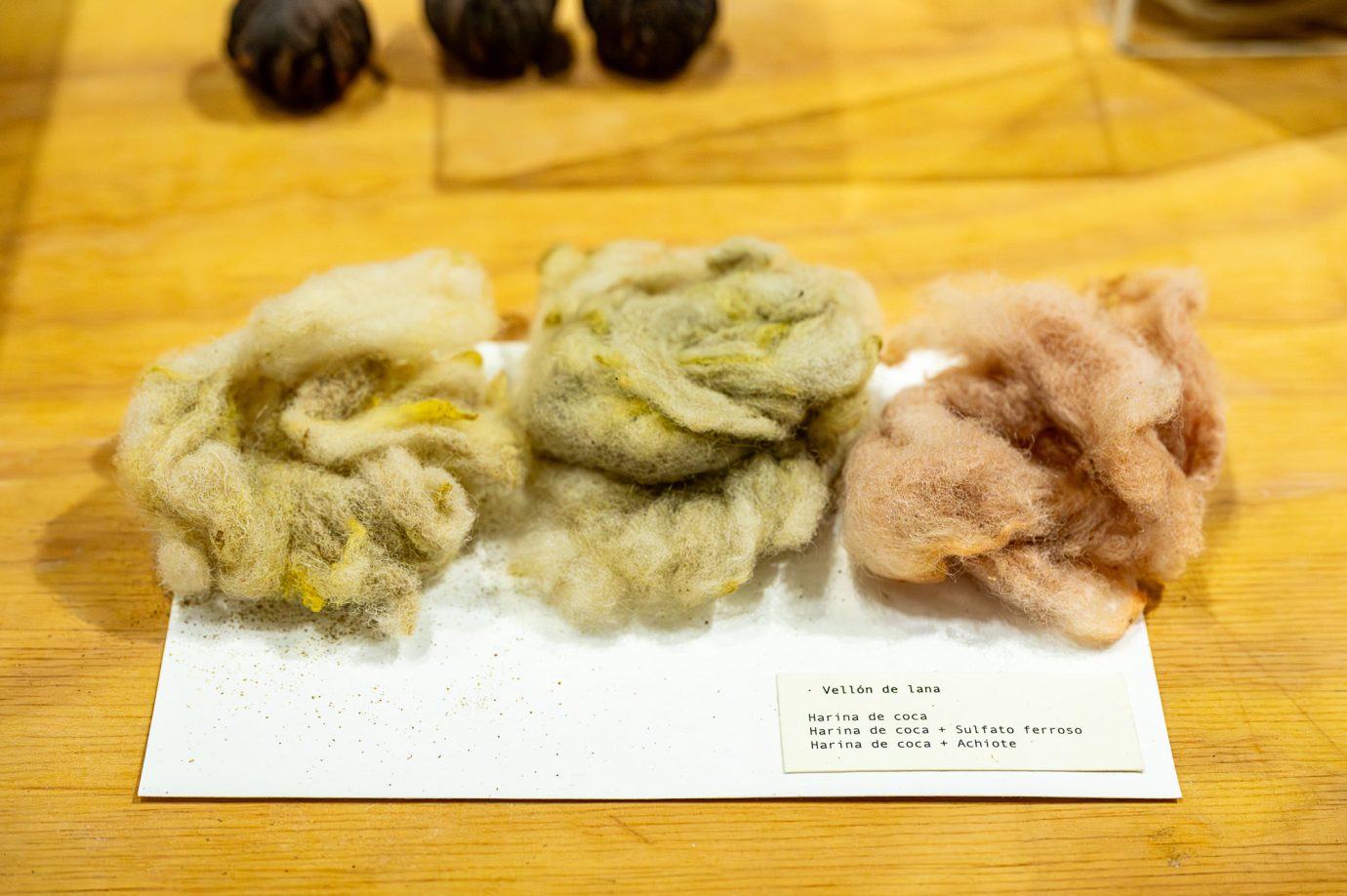 Coca i Nada Más - Exposición