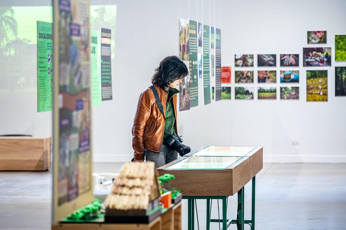 Coca i Nada Más - Exposición