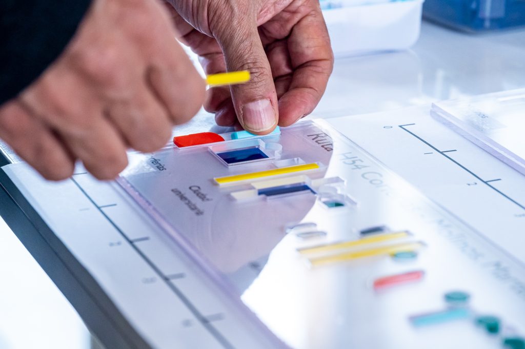 Visualizaciones en tránsito