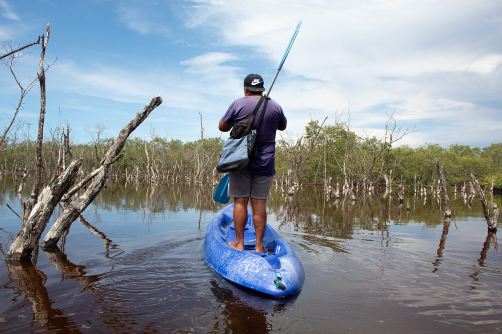 Walking Trees - Laura Arango de la Torre