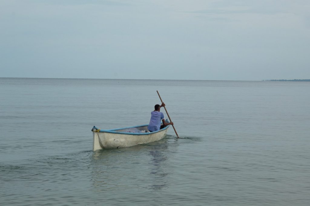 Walking Trees - Laura Arango de la Torre