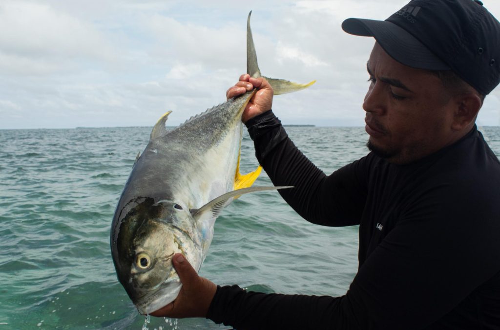 Walking Trees - Laura Arango de la Torre