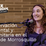 Conservación ambiental y comunitaria en el Golfo de Morrosquillo - Se Hace en ArqDis