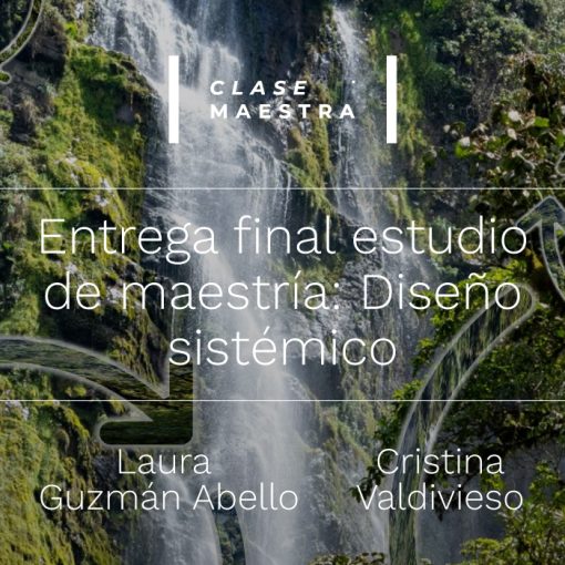 entrega-final-diseno-sistemico