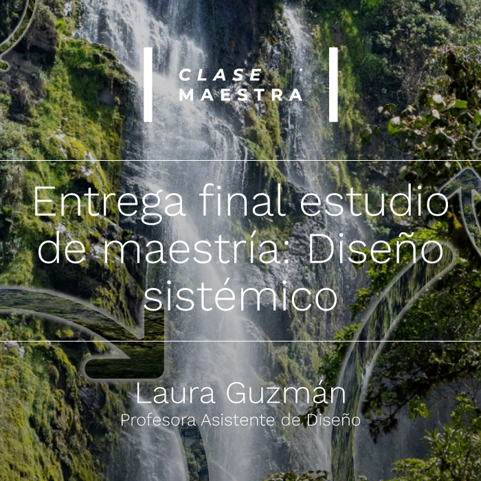 entrega-final-diseno-sistemico