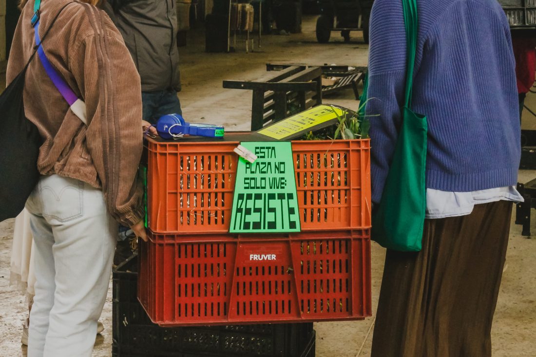 Trabajo de la Maestría en Diseño para plaza de mercado