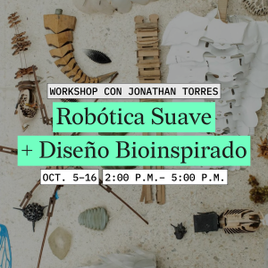 robotica-suave-diseno-bioinspirado