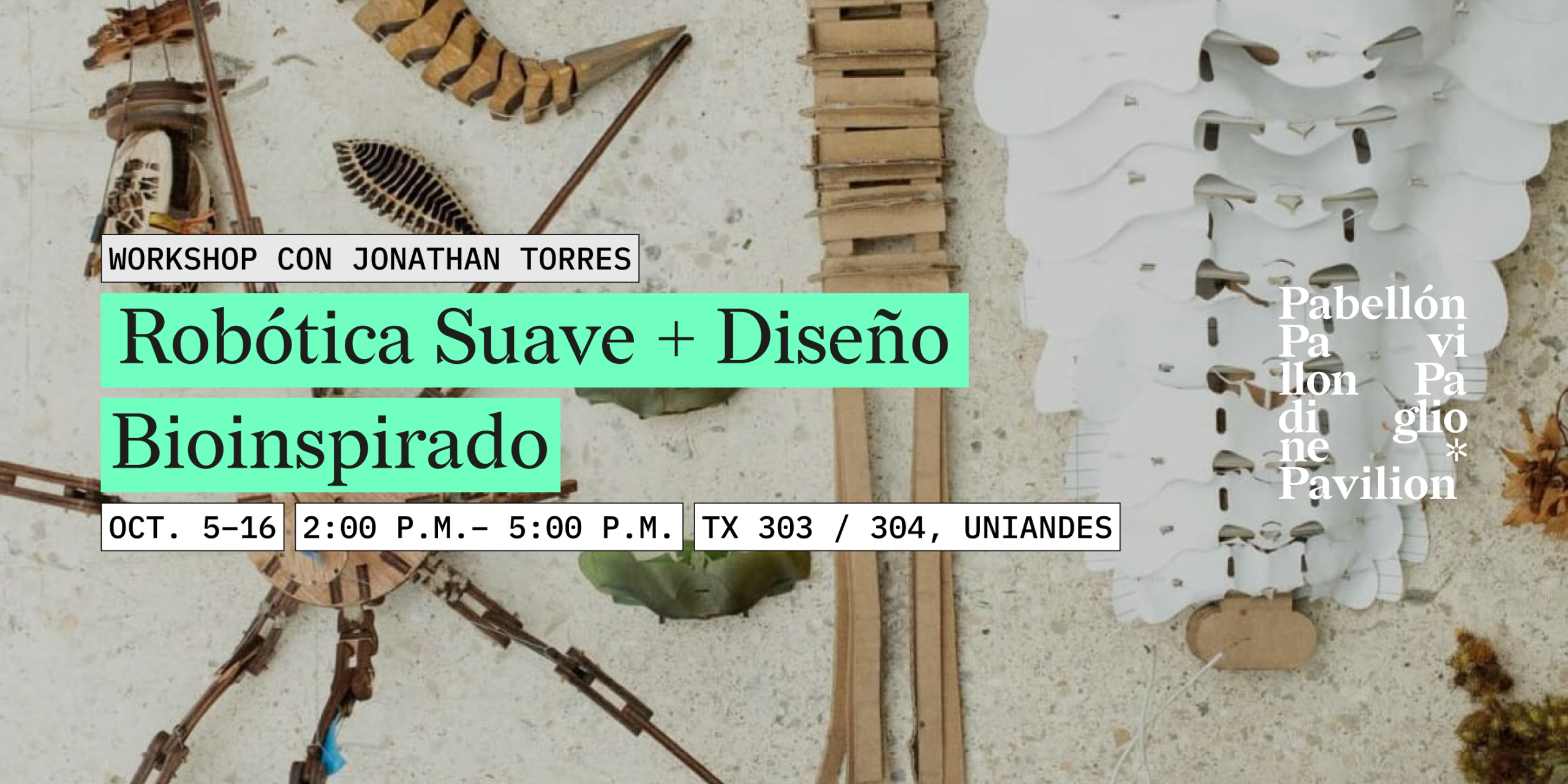 Workshop Jonathan Torres